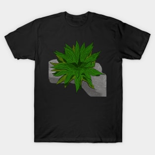 Maguey en la roca T-Shirt